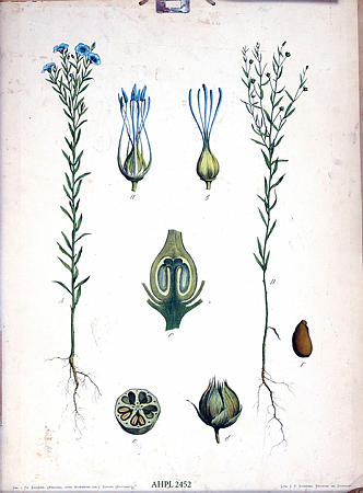 Planter