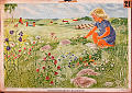 Høysommerens blomster<br>Kunstner: Ukjent<br>Forlag: A.B.P.A. Norstedt & Søner, Stockholm                             