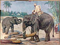 Elefant<br>Kunstner: Vilh. Tuby<br>Forlag: A/B P.A.Norstedt & Söner, Stockholm                              